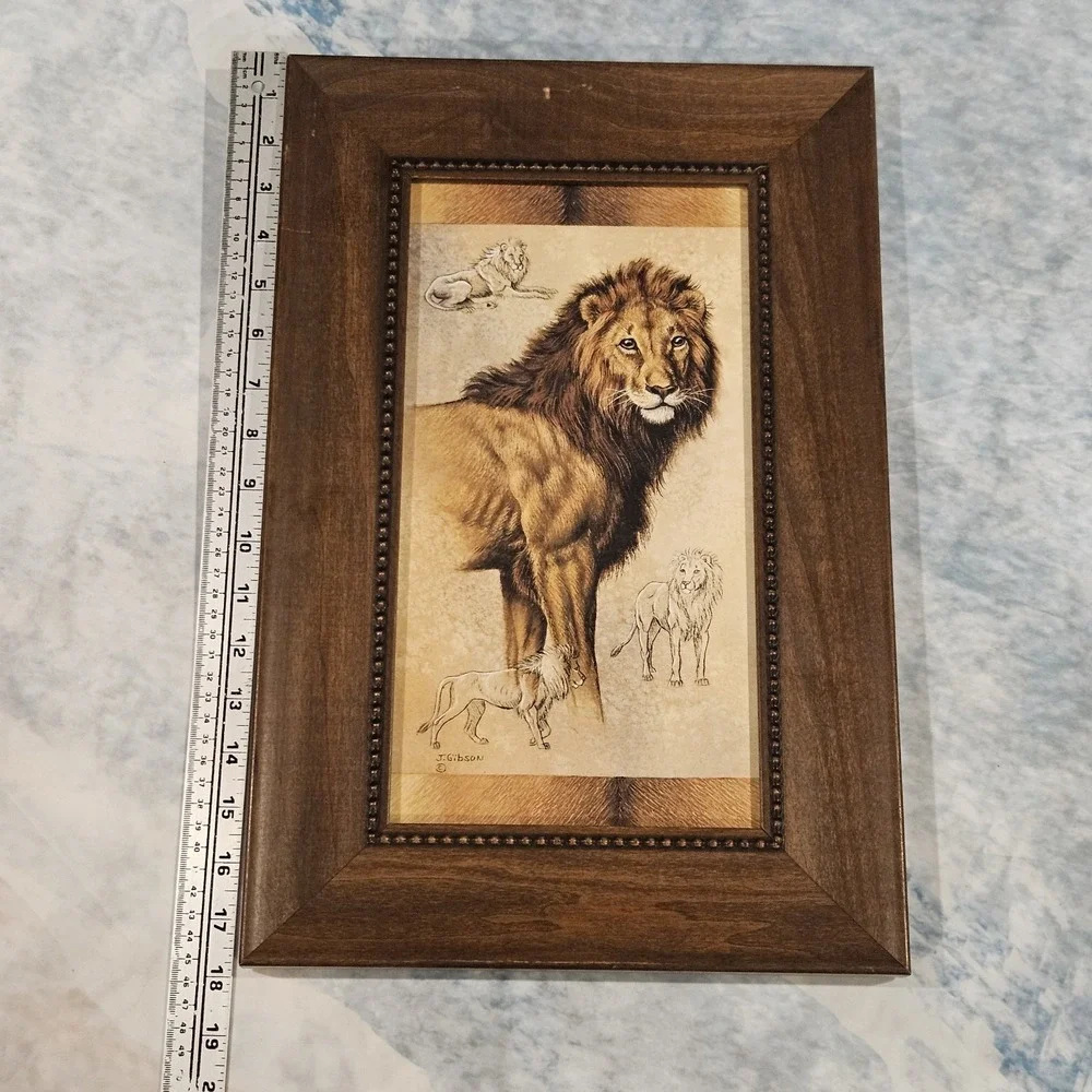 N/A safari animal