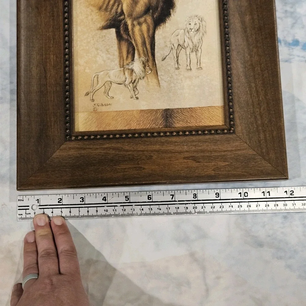 N/A safari animal