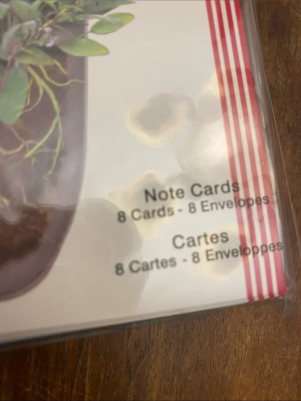 studio 18 sets notecards if