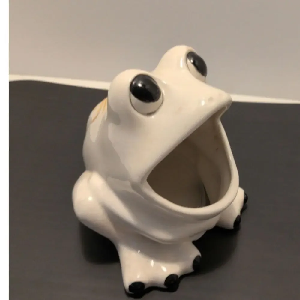 Vintage Ceramic White Frog Sponge Holder 5