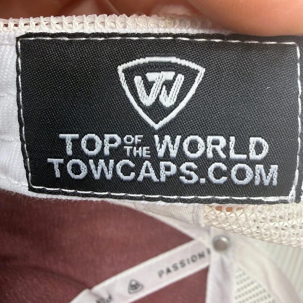 Top of the World top world