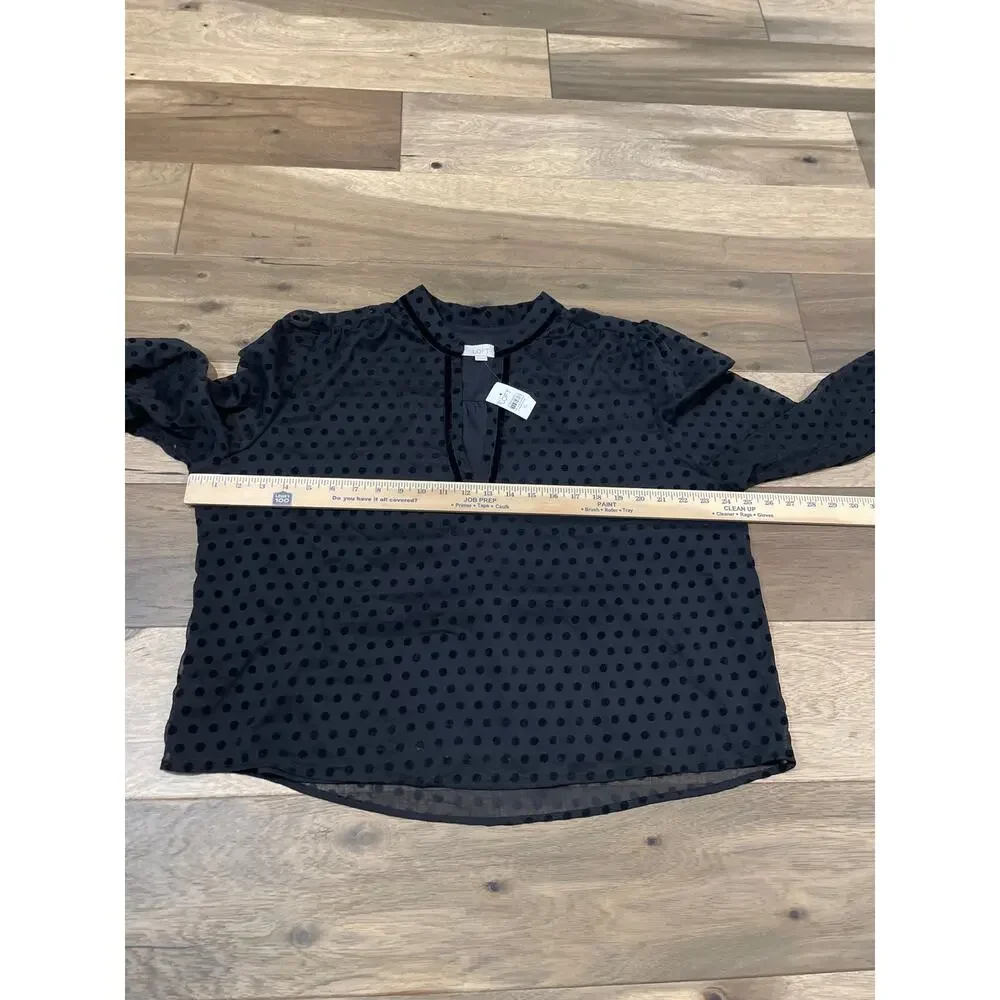 LOFT women’s size