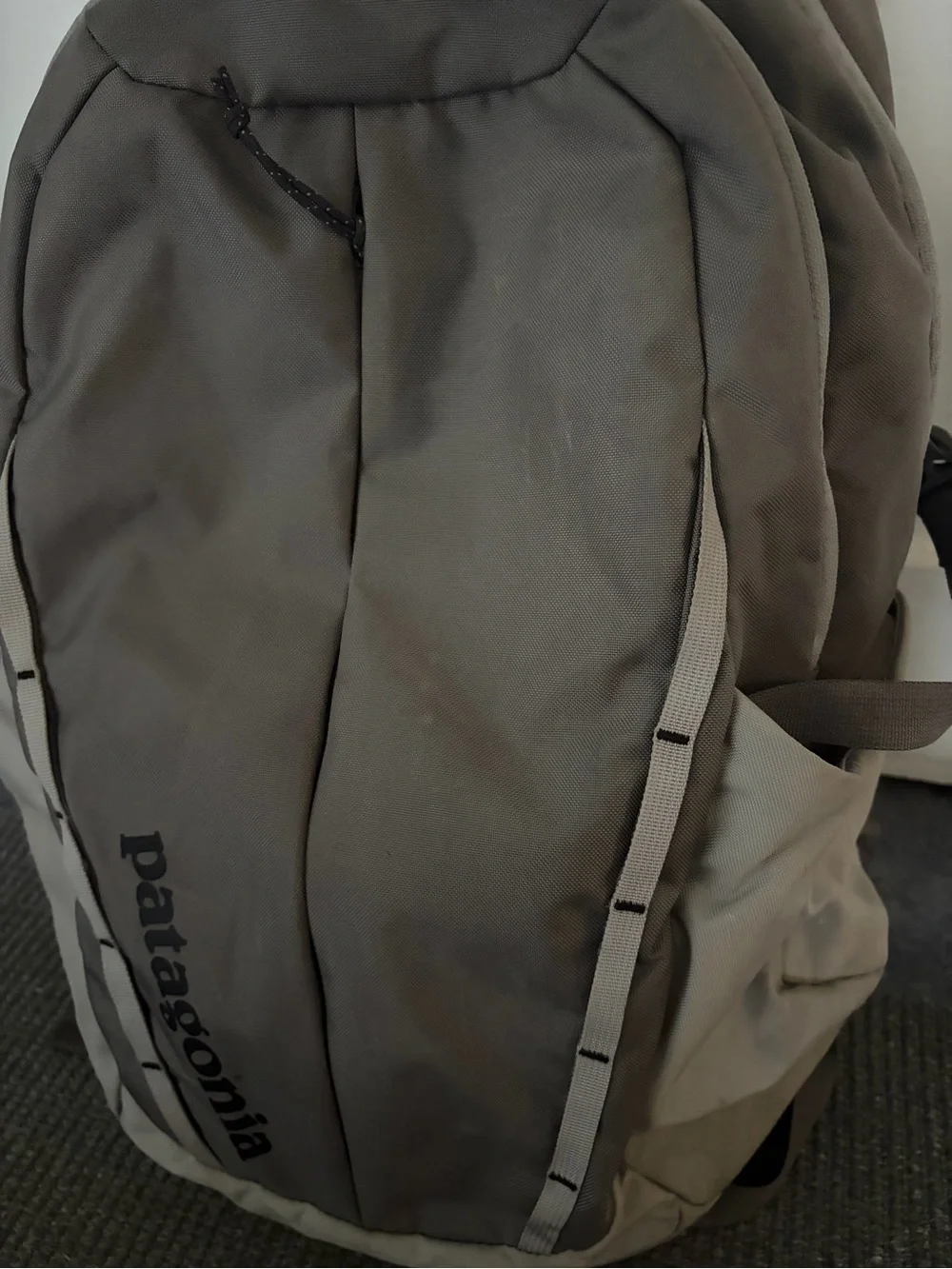 Patagonia spacious backpack