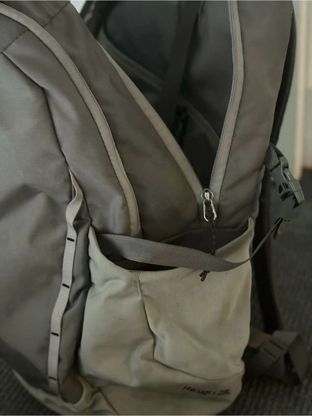 Patagonia spacious backpack