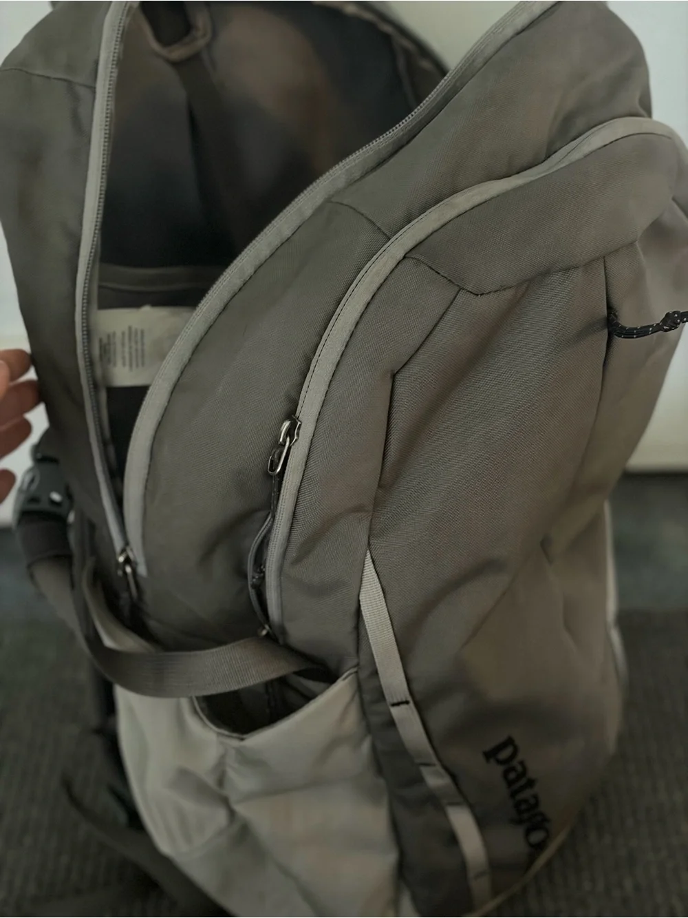 Patagonia spacious backpack