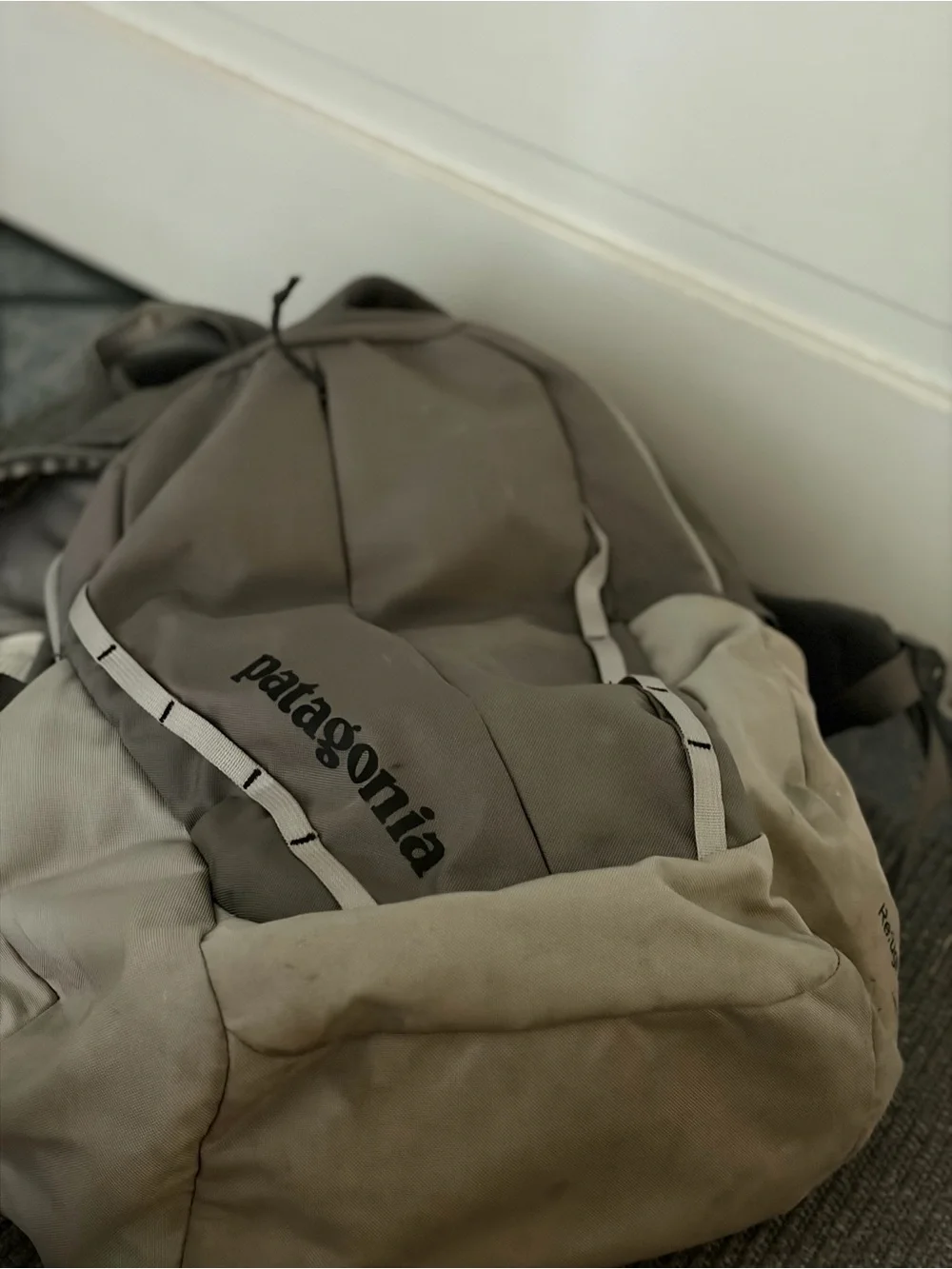 Patagonia spacious backpack