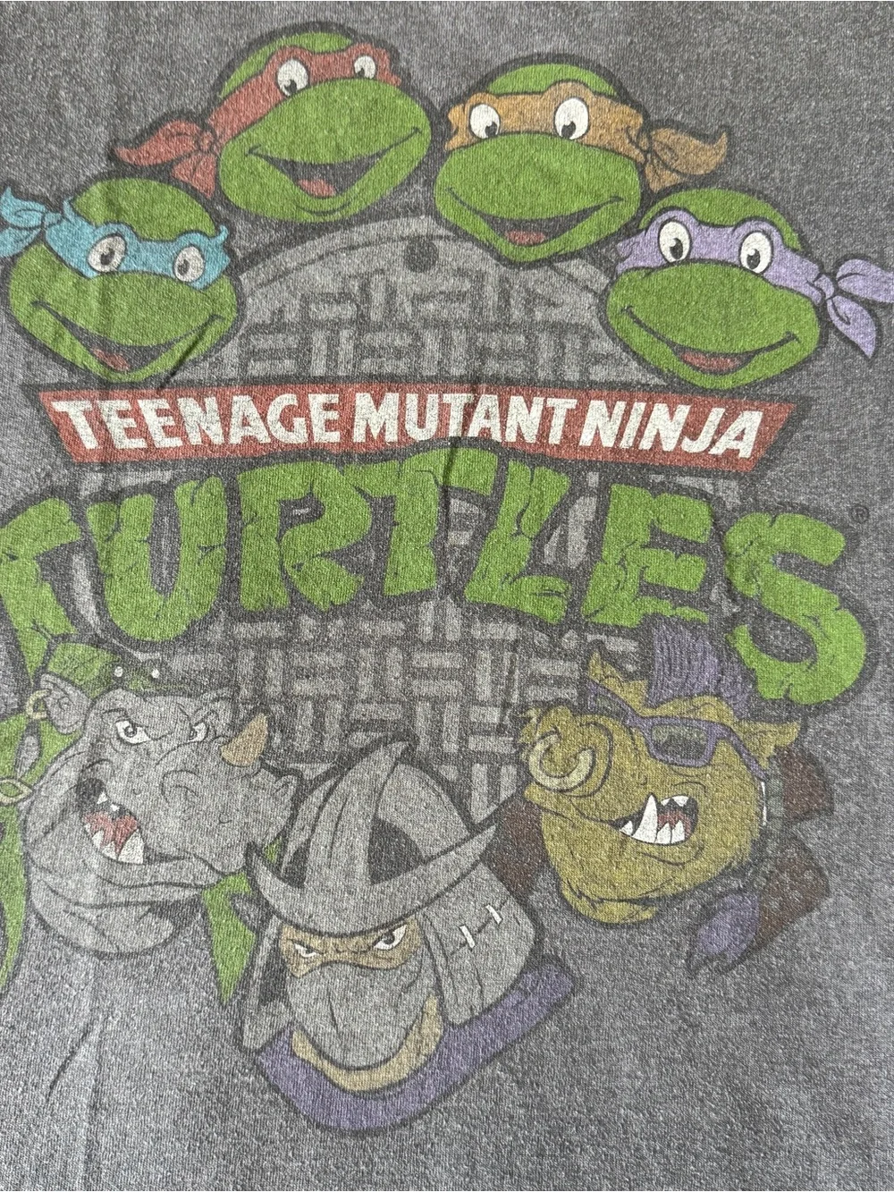 Teenage Mutant Ninja Turtles official teenage