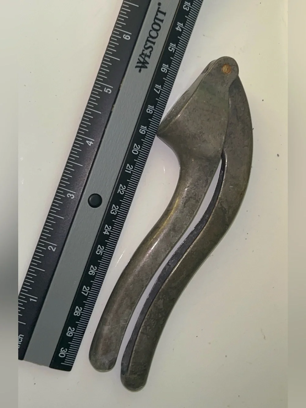 N/A italian cast