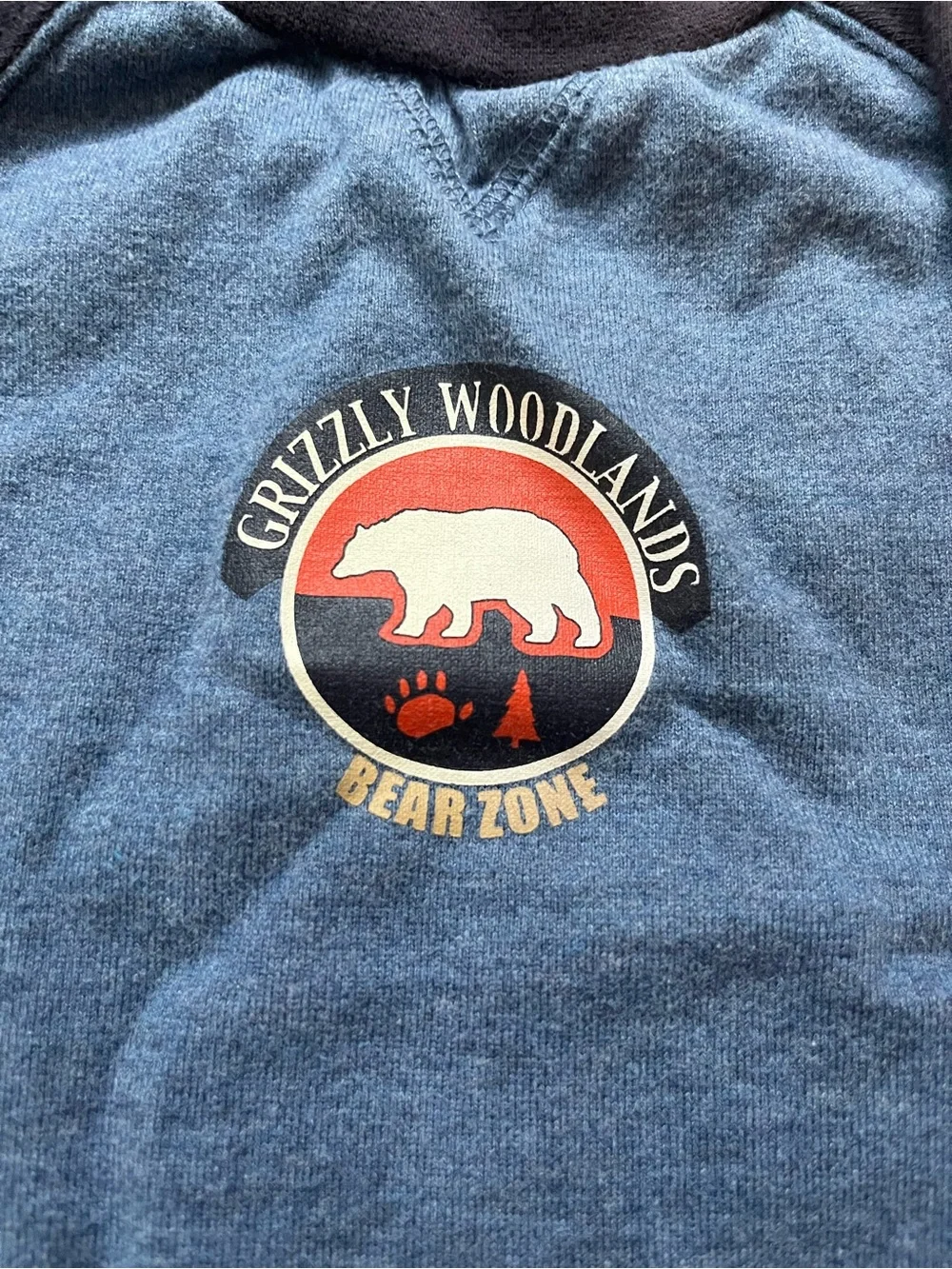Gymboree long sleeve