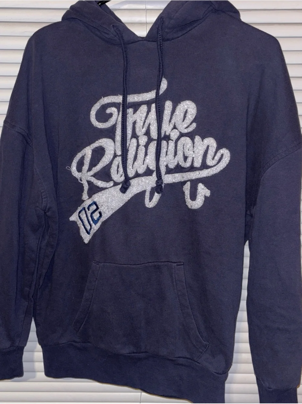 True Religion Men Hoodie