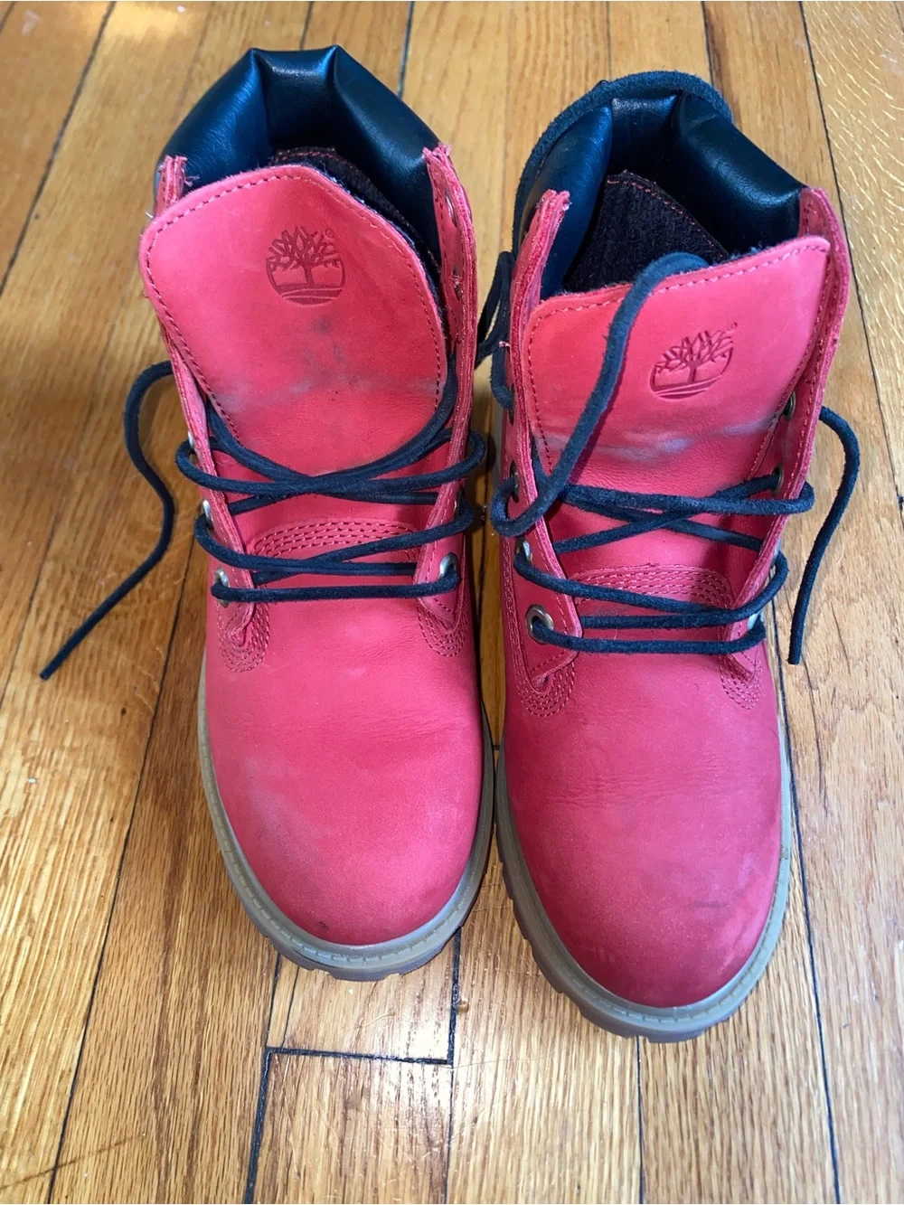 Timberland kids bold