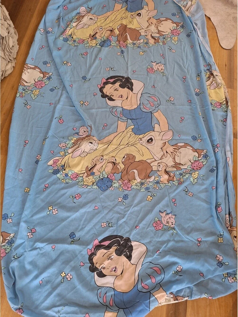 Disney fitted snow