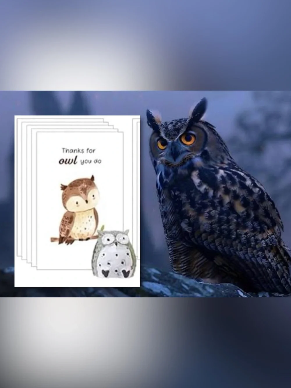 $2 Owl Thank You Card set $2 WITH ANY $10 Order or mote