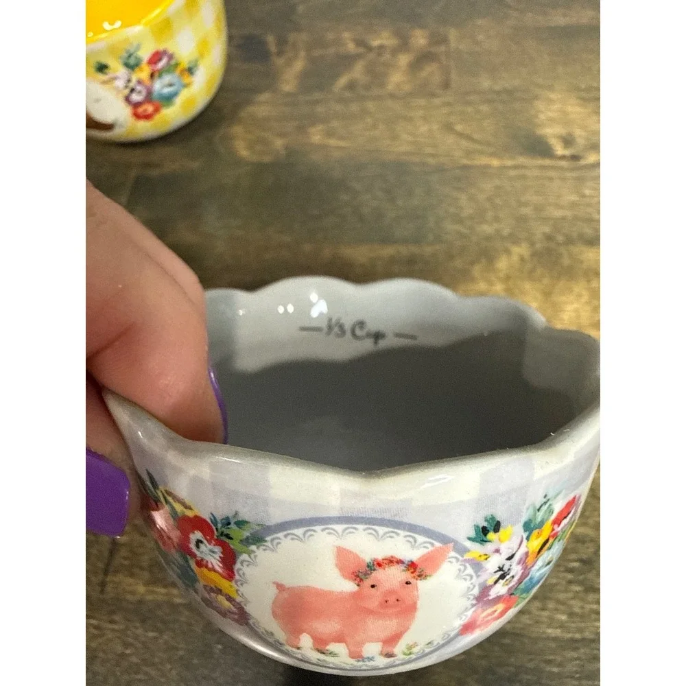 Pioneer Woman Stoneware Nesting Measuring Cup Set 4 Piece Floral‎ Farmhouse NWOT