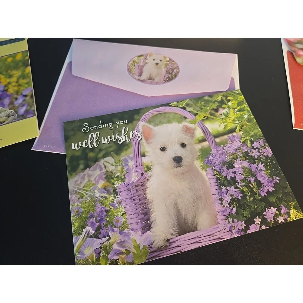 greg cuddilford creative image library cards are