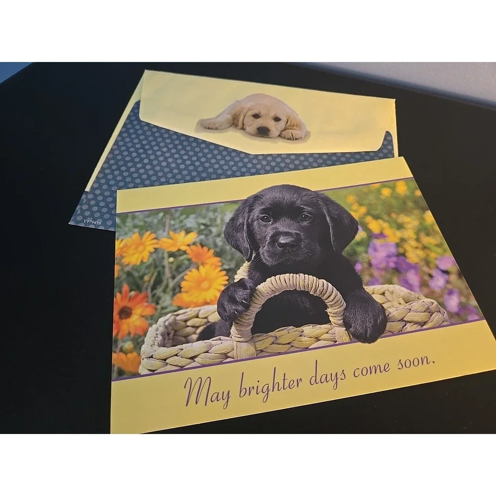 greg cuddilford creative image library cards are
