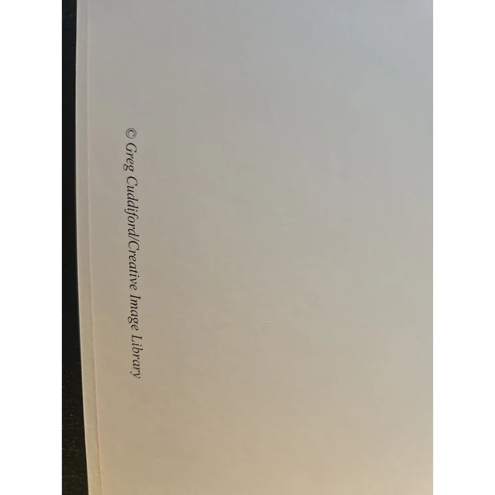 greg cuddilford creative image library cards are