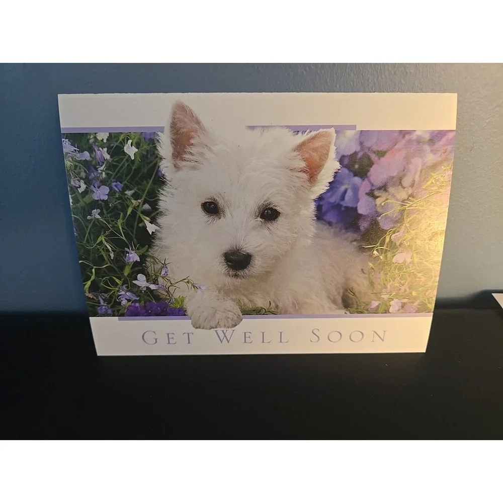 greg cuddilford creative image library cards are