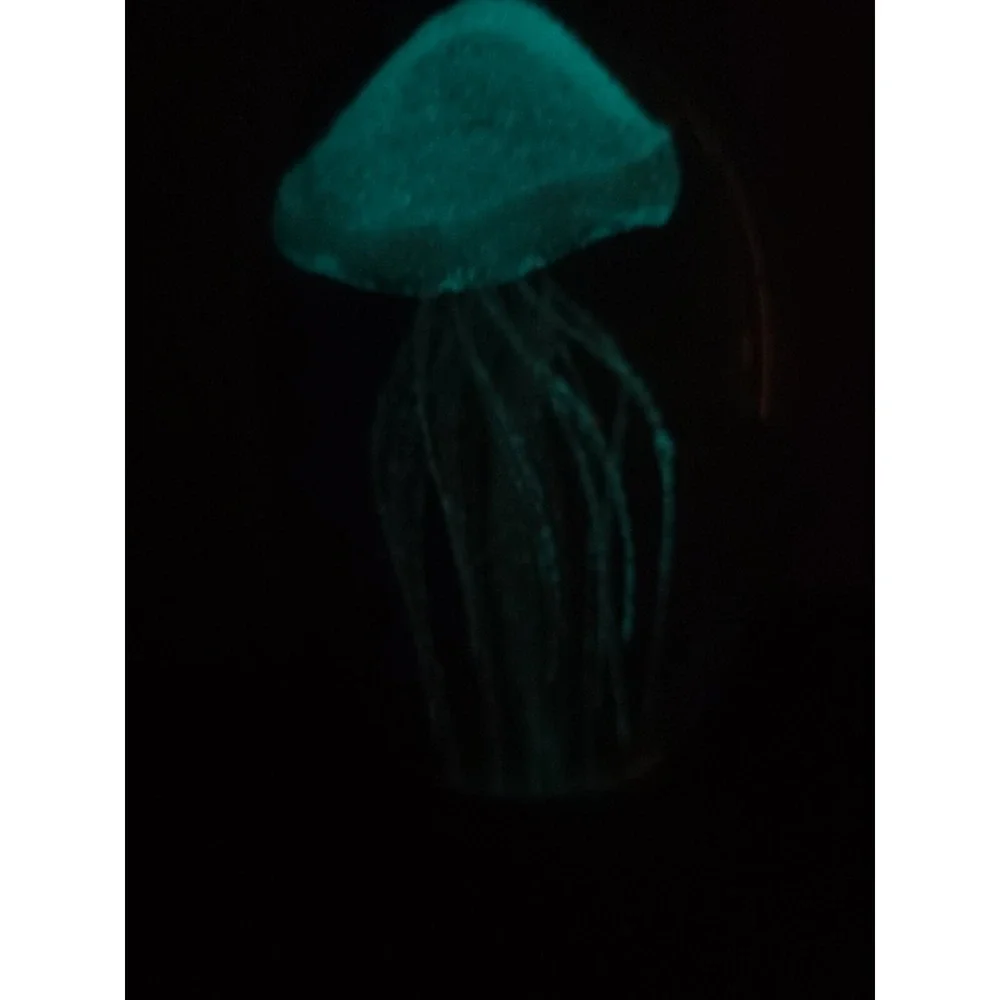 Source Unknown jellyfish paperweight