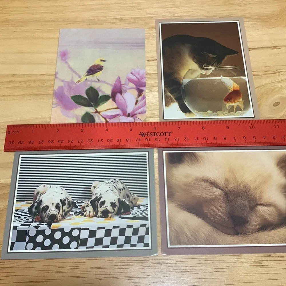 N/A someone fine these