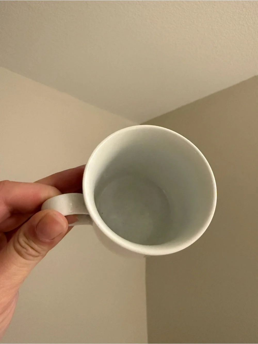 Crate&Barrel durable ceramic