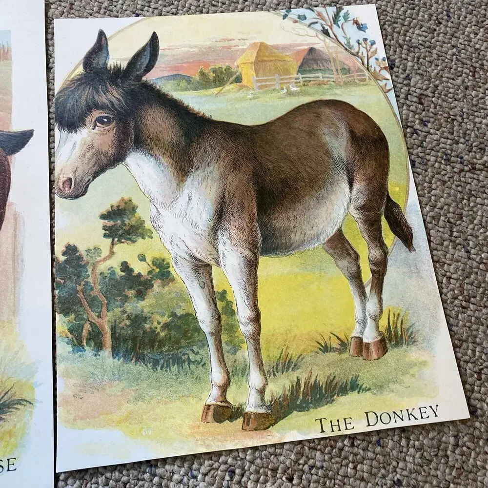 Lot of 2 Vintage Farm Animals Postcards Double Side Printed Cow Reindeer Horse