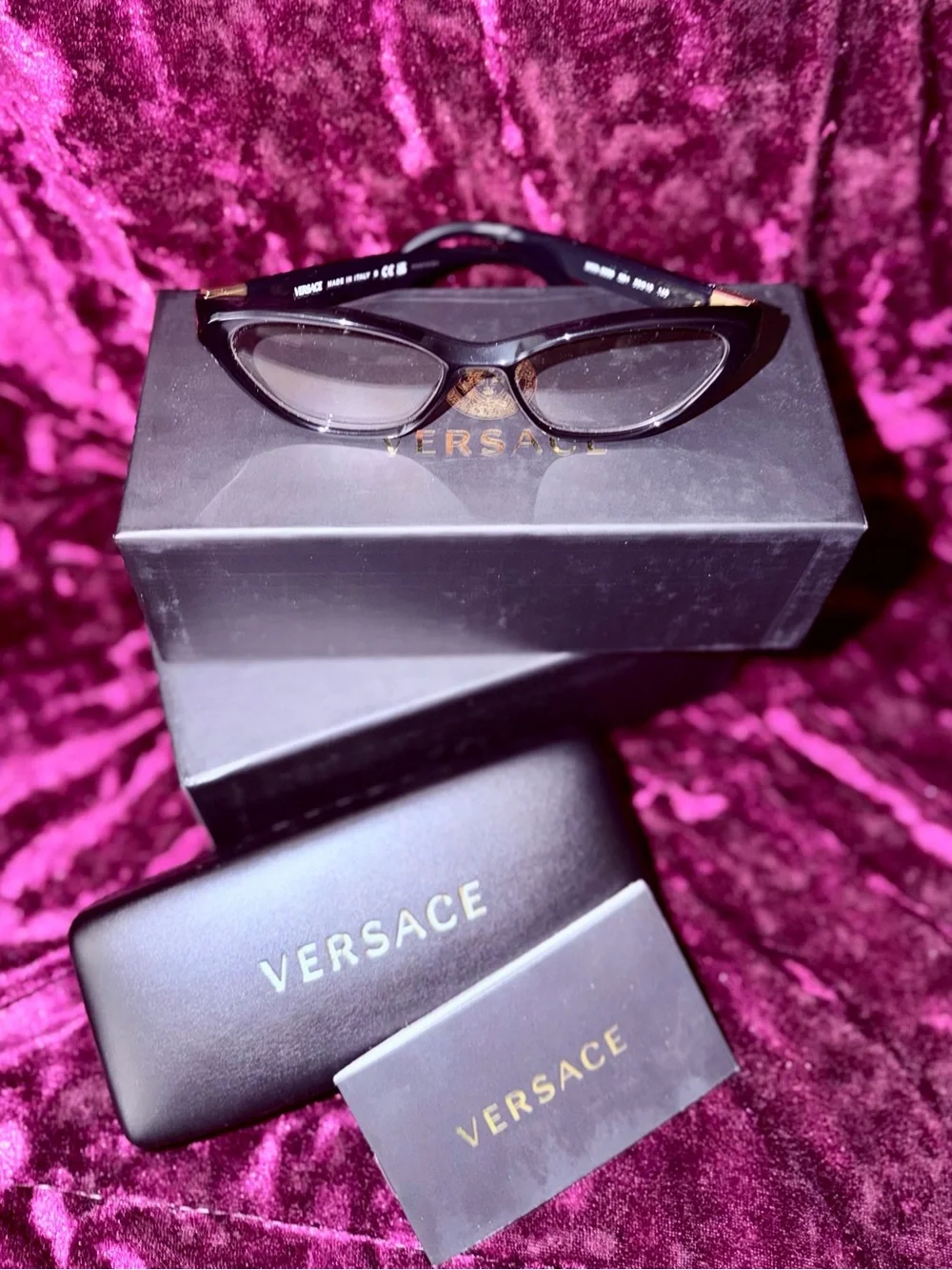 Versace elegant cat