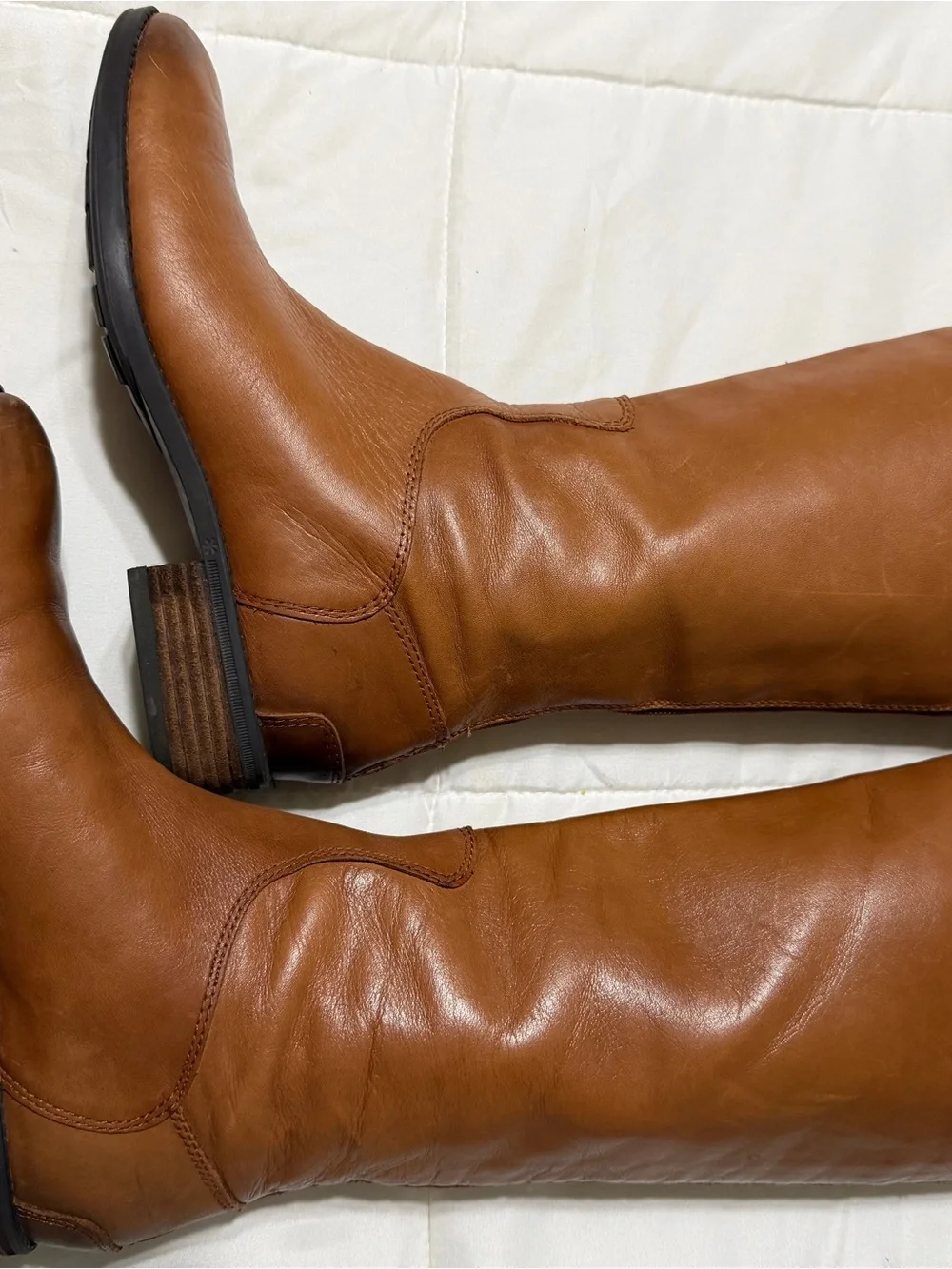 Sam Edelman sleek tall