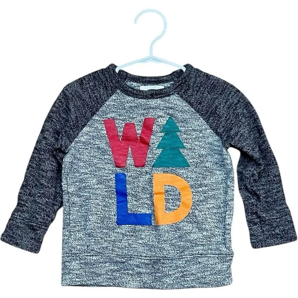 Toddler Boys Old Navy Wild One Holiday Ranglan Heathered Sweater - Sz 2T