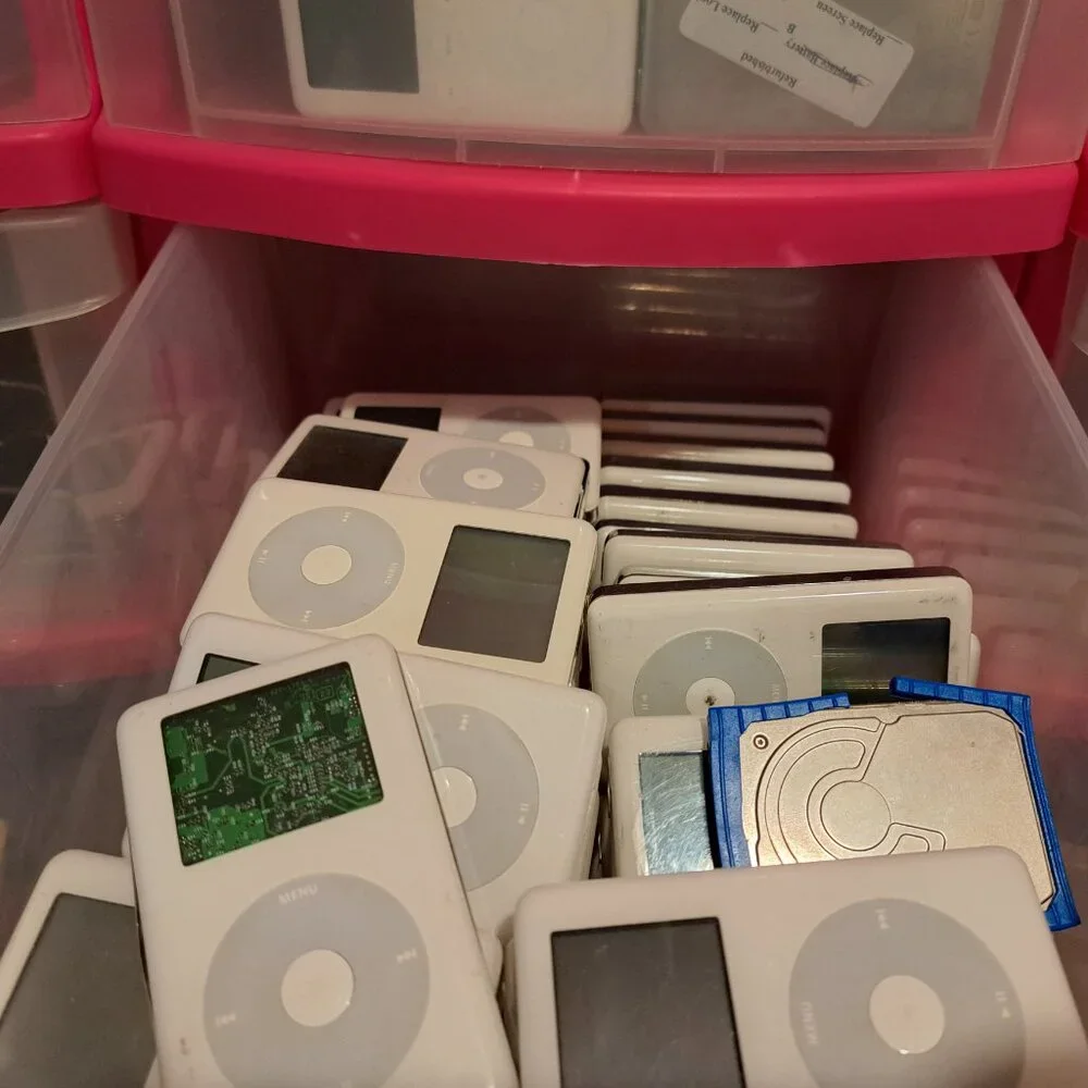 Apple you can