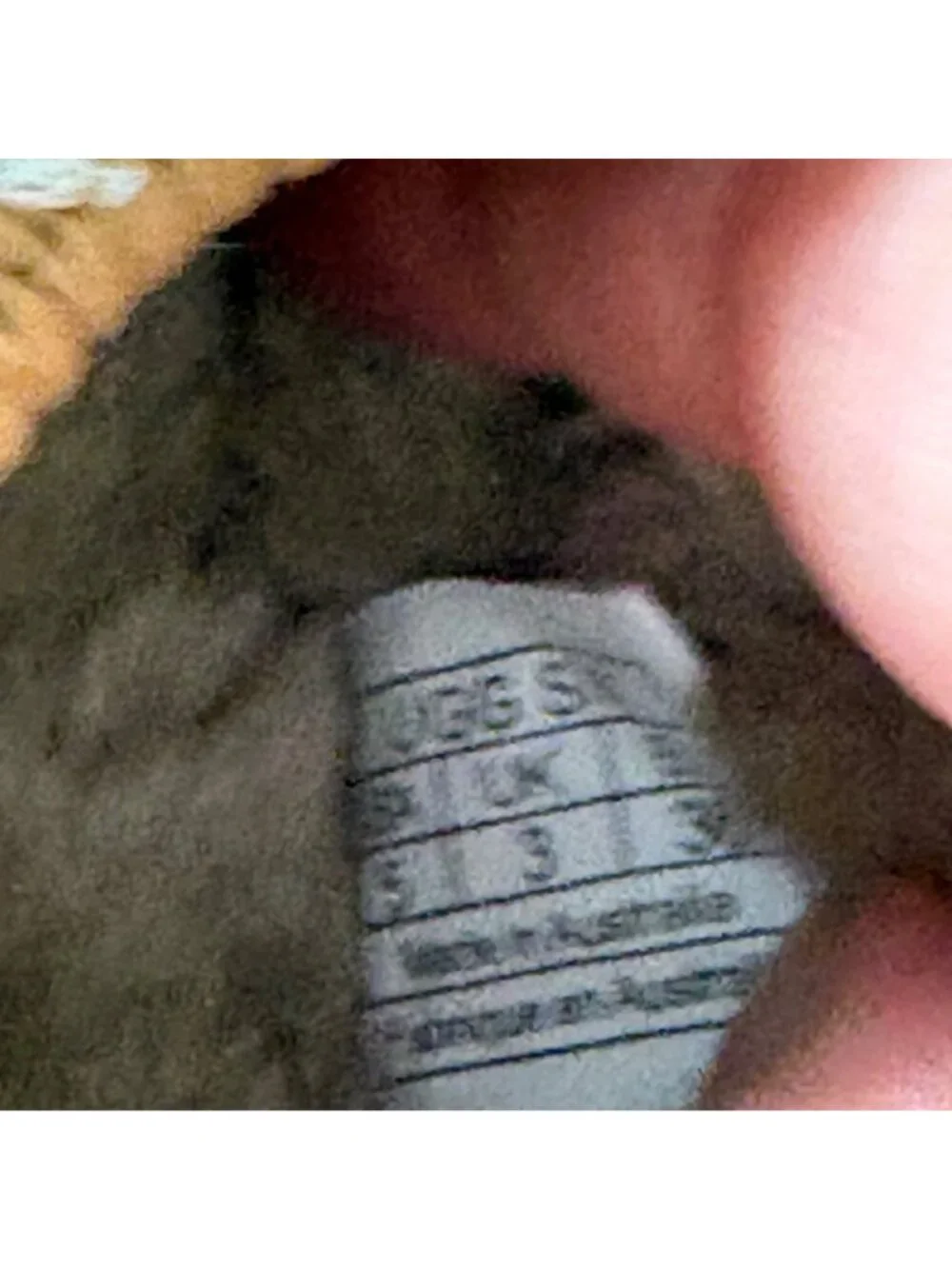 UGG brand tasman