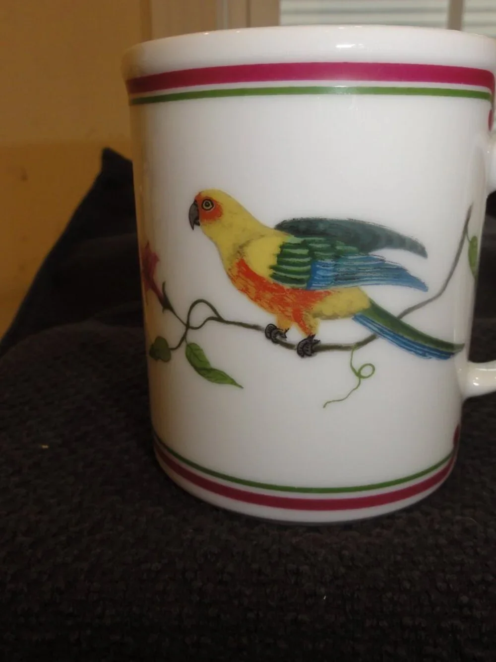 1989 Lynn Chase Parrots Of Paradise Set of Two Coffee Mugs VERY GOOD CONDITION!