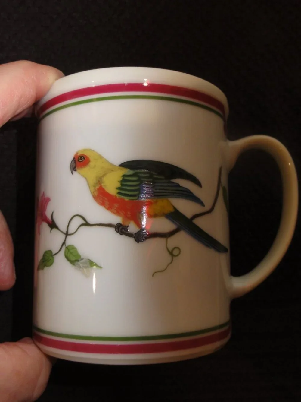 1989 Lynn Chase Parrots Of Paradise Set of Two Coffee Mugs VERY GOOD CONDITION!