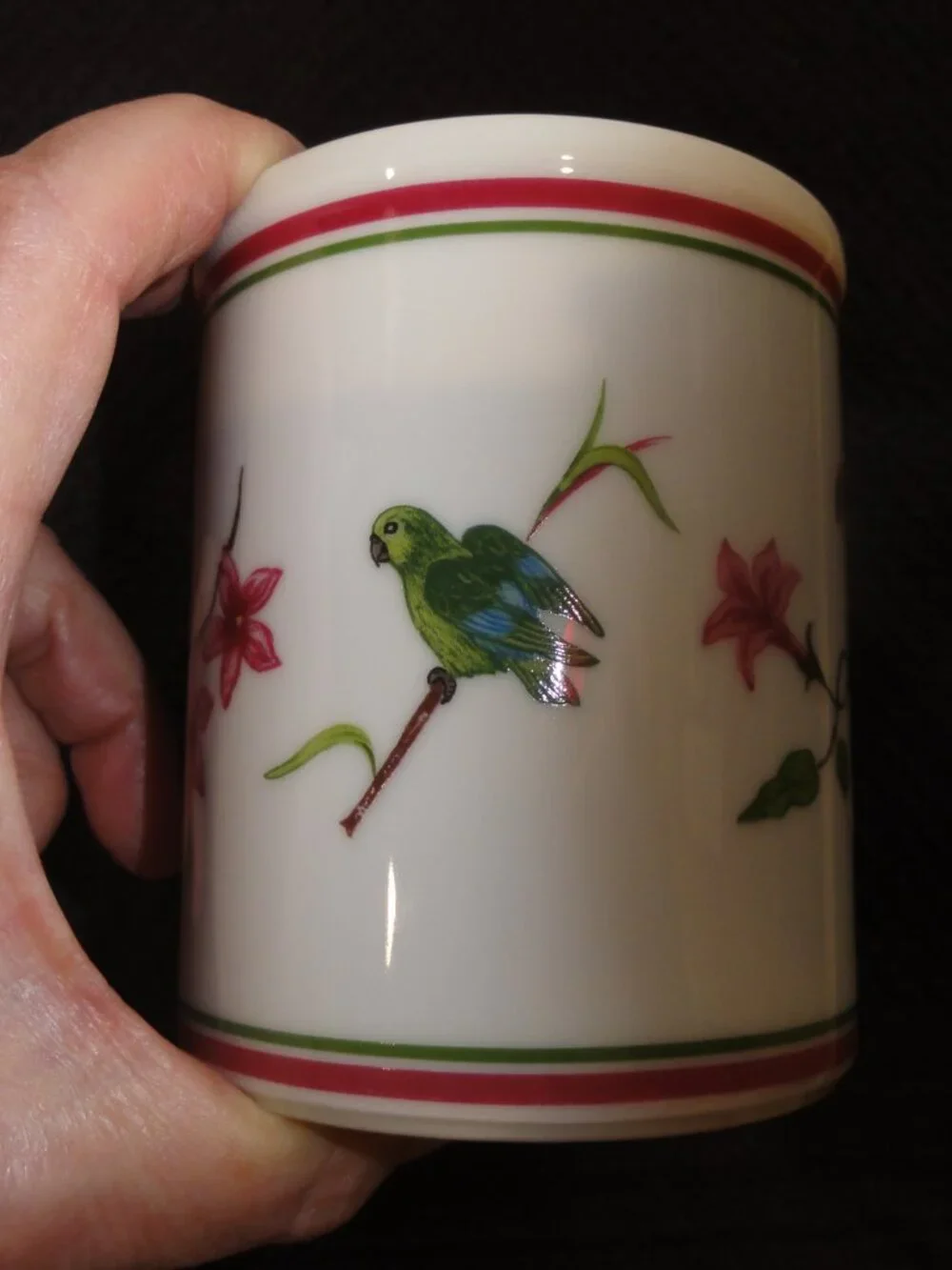 1989 Lynn Chase Parrots Of Paradise Set of Two Coffee Mugs VERY GOOD CONDITION!