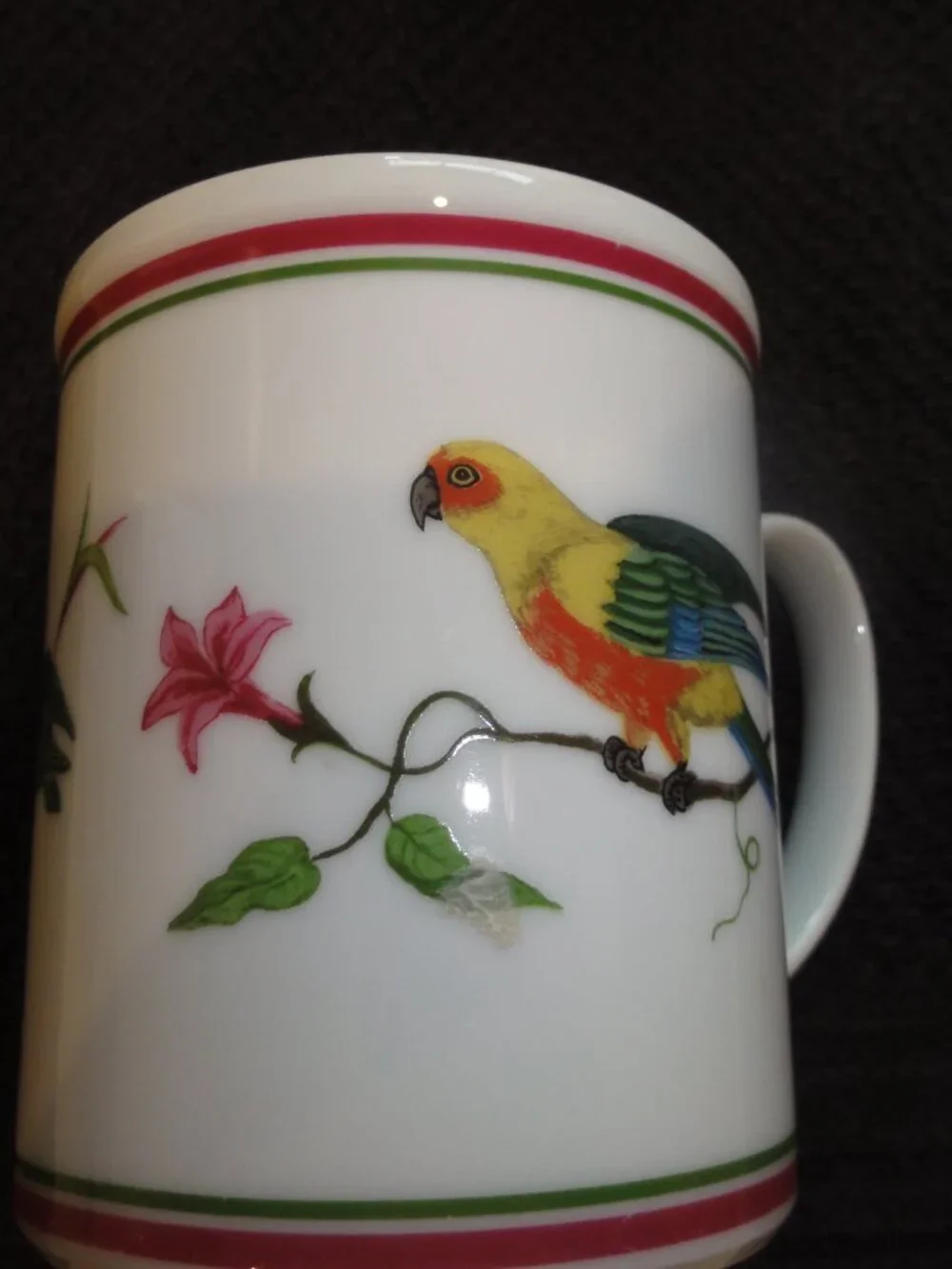 1989 Lynn Chase Parrots Of Paradise Set of Two Coffee Mugs VERY GOOD CONDITION!