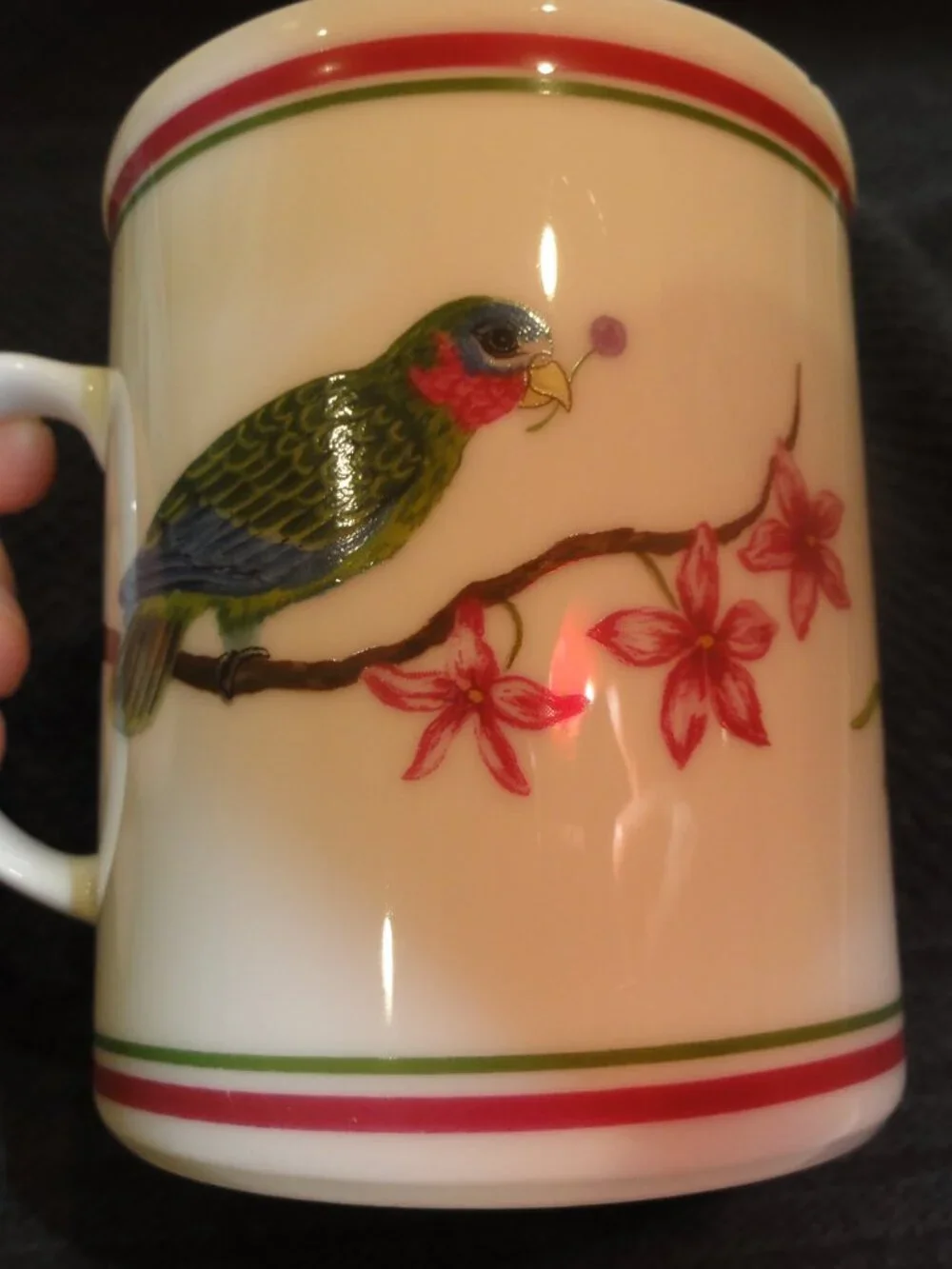 1989 Lynn Chase Parrots Of Paradise Set of Two Coffee Mugs VERY GOOD CONDITION!