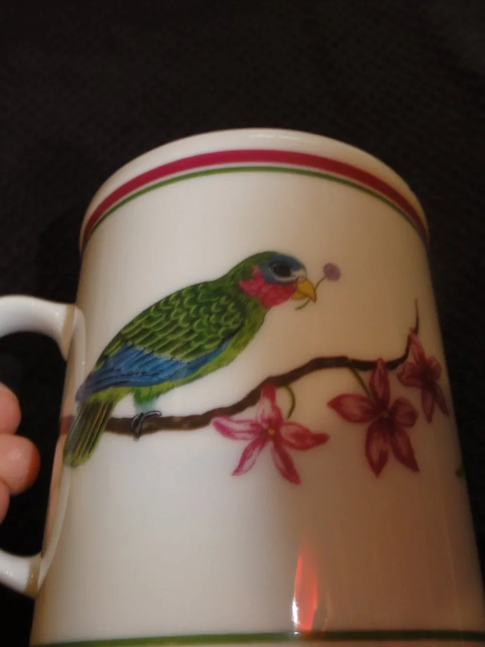 1989 Lynn Chase Parrots Of Paradise Set of Two Coffee Mugs VERY GOOD CONDITION!