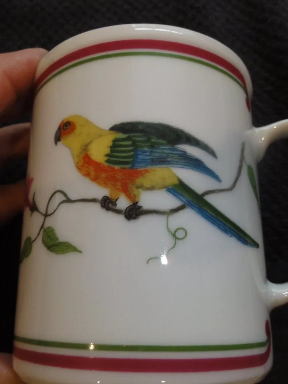 1989 Lynn Chase Parrots Of Paradise Set of Two Coffee Mugs VERY GOOD CONDITION!