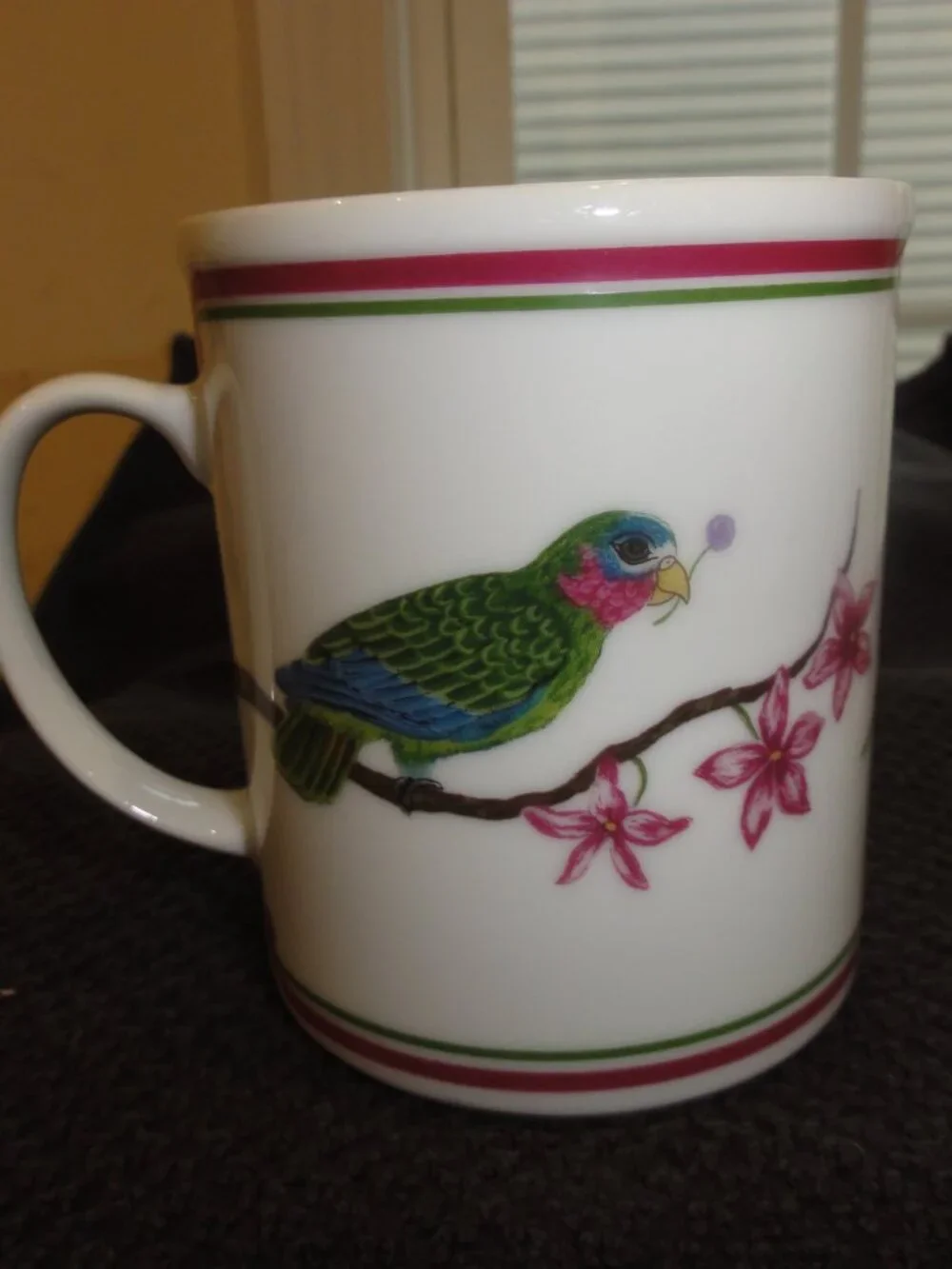 1989 Lynn Chase Parrots Of Paradise Set of Two Coffee Mugs VERY GOOD CONDITION!