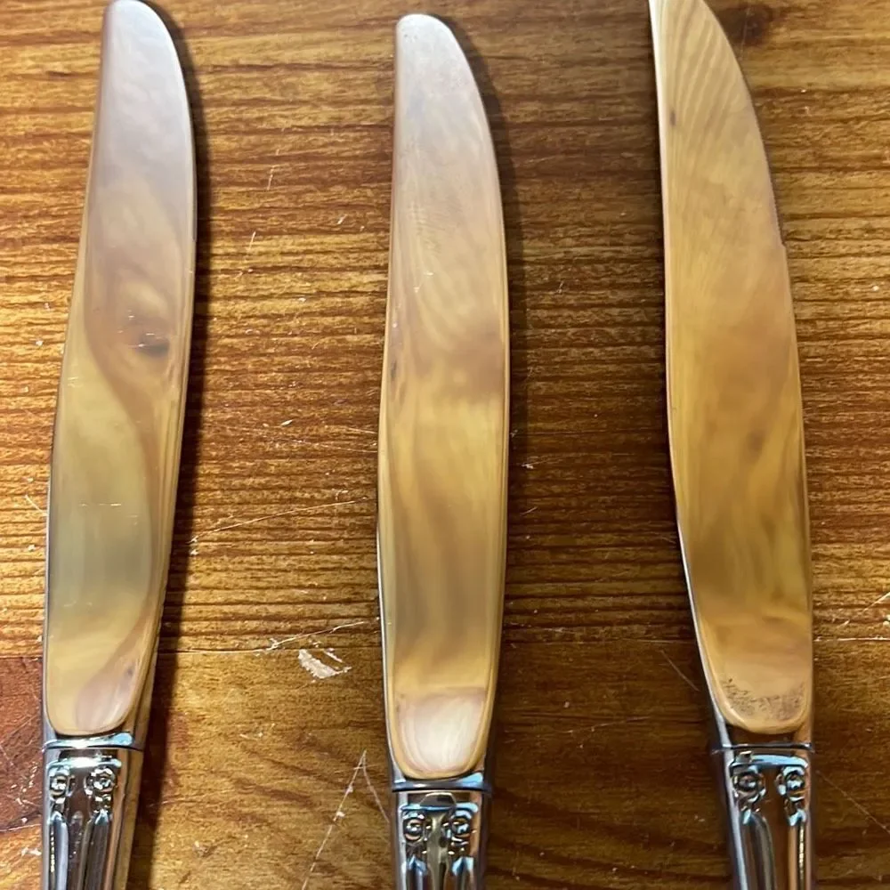 Oneida brahms stainless