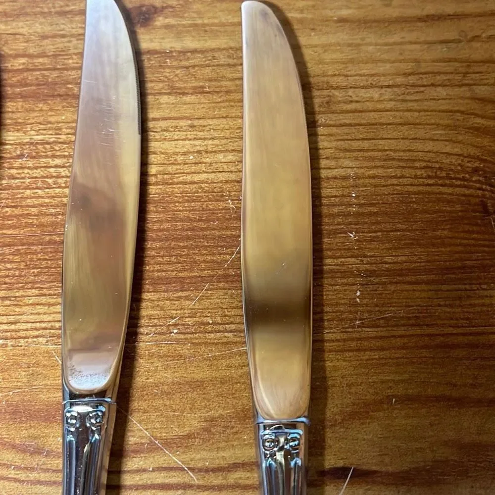 Oneida brahms stainless