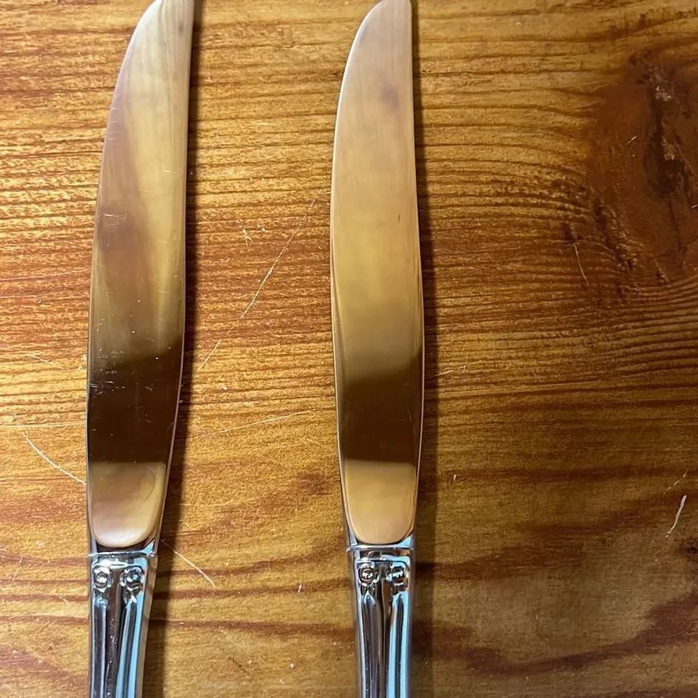 Oneida brahms stainless