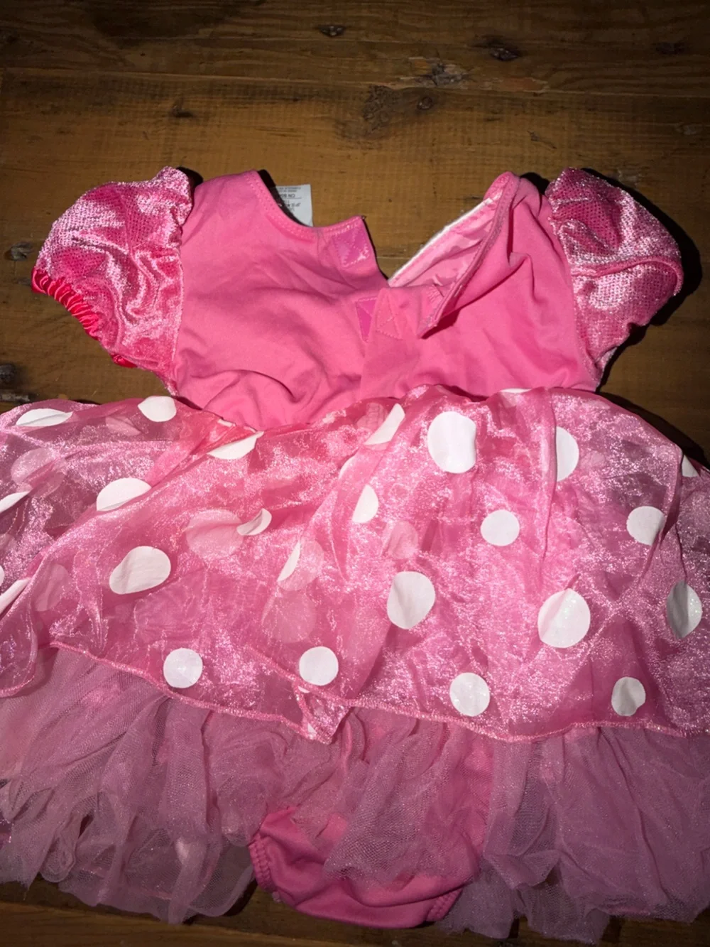 Disney or diaper dot