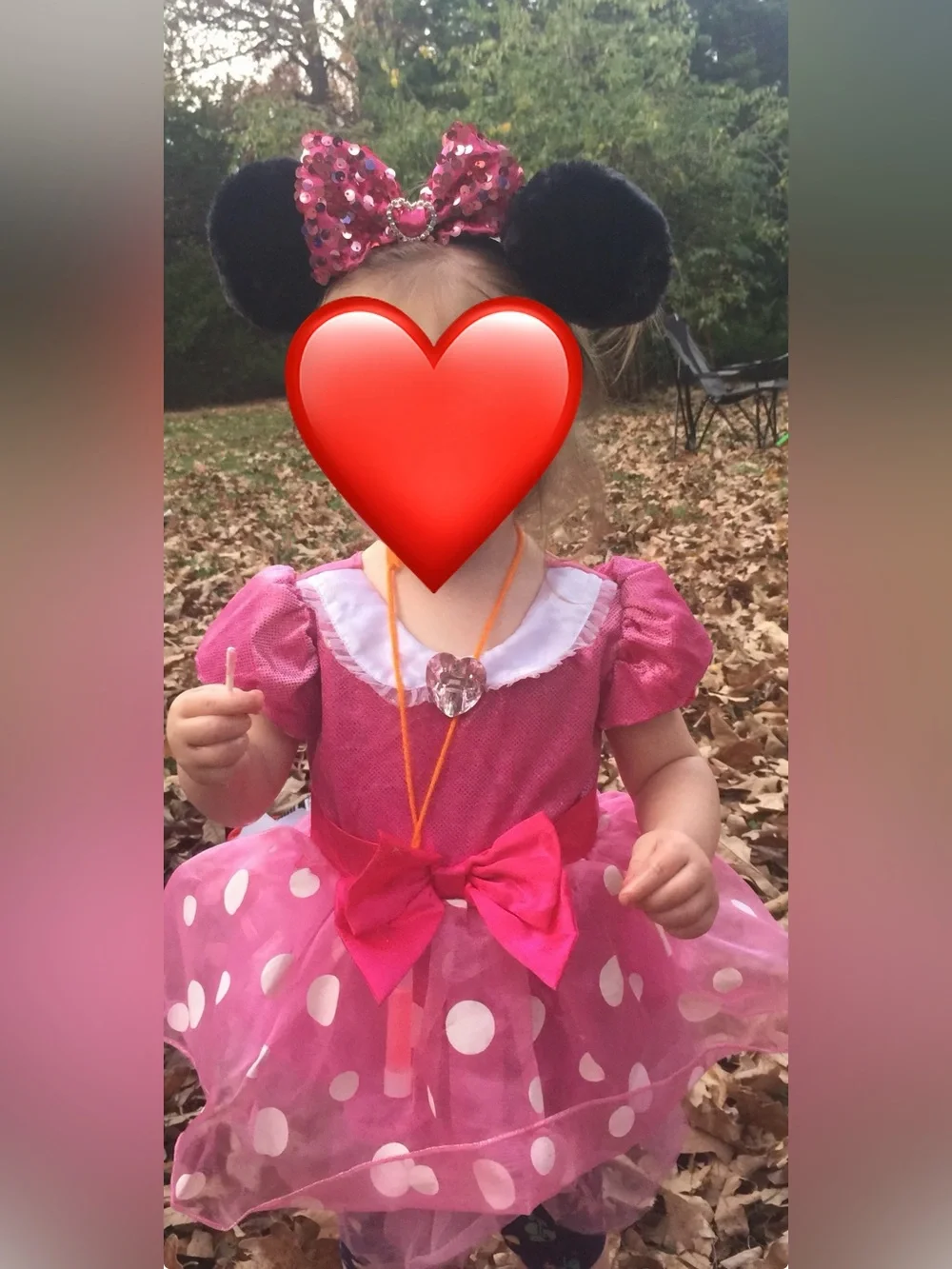 Disney parks diaper