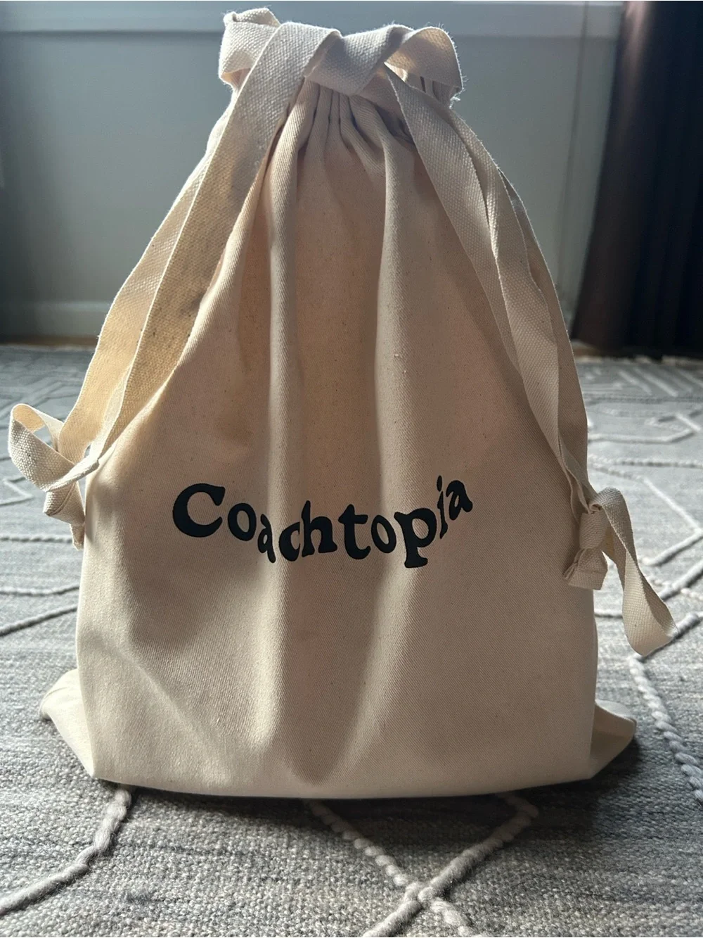 COACHTOPIA Limited Edition Woven Checker Hobo Shoulder Bag in Dark Blue & Black