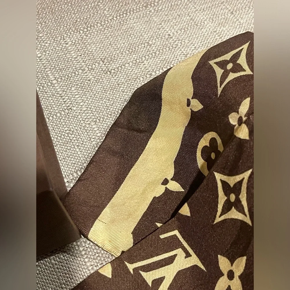 Louis Vuitton check photos