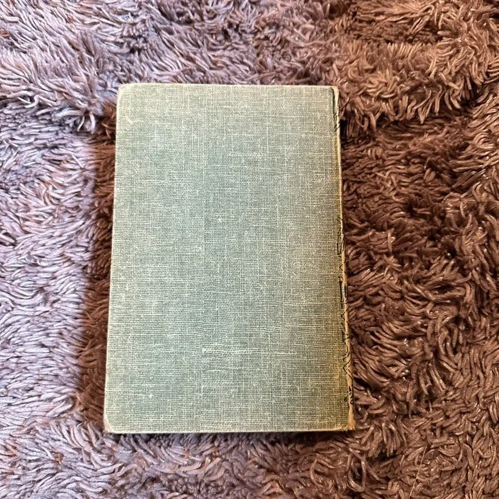 bobbsey twins vintage 1959