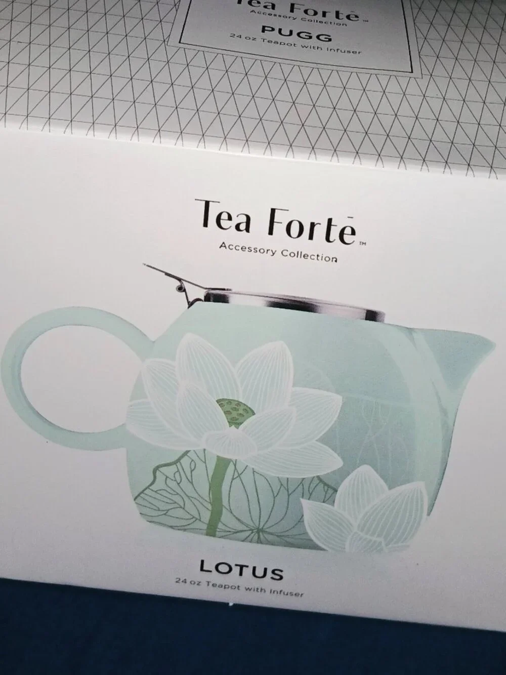 New in Box - 24oz Pale Teal Floral Teapot