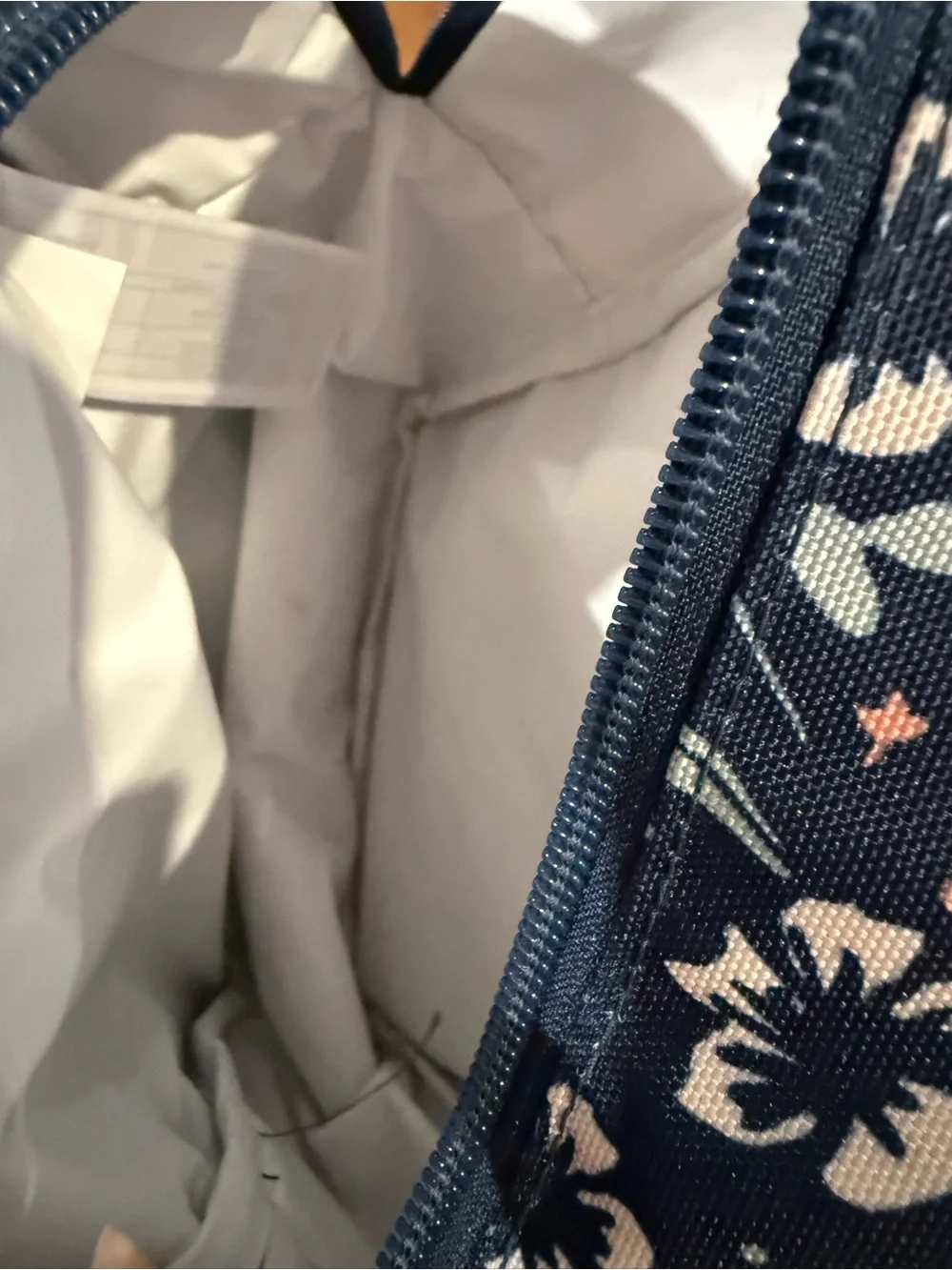 Jansport cute practical