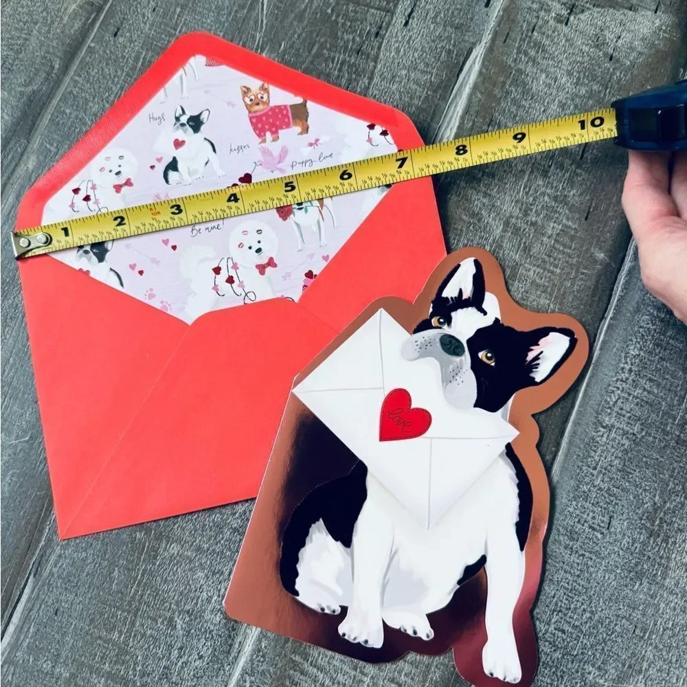 N/A nwt valentine